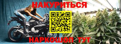 ешки Бийск