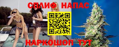 Альфа ПВП Беслан