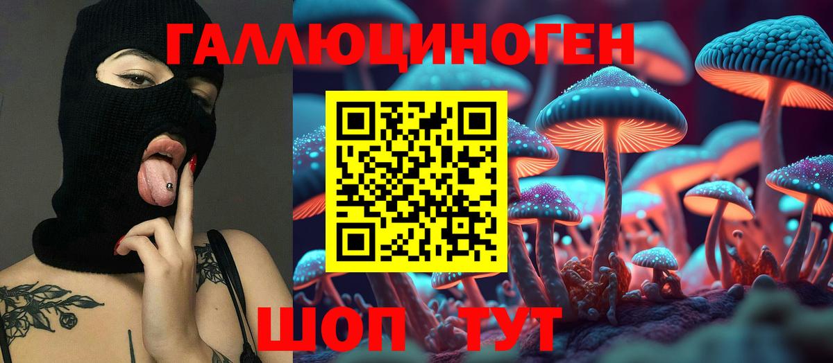 Йошкар-Ола  Псилоцибиновые грибы мухоморы  наркошоп  Псилоцибиновые грибы Psilocybine cubensis  Вход с VPN 