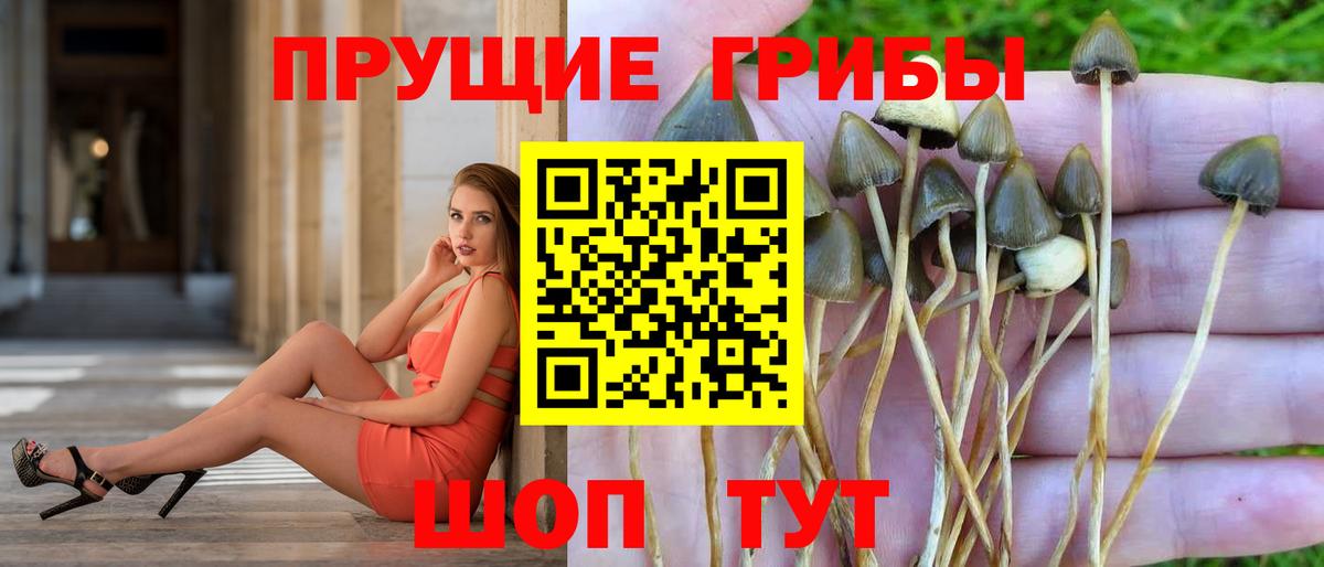 Галлюциногенные грибы прущие грибы Йошкар-Ола